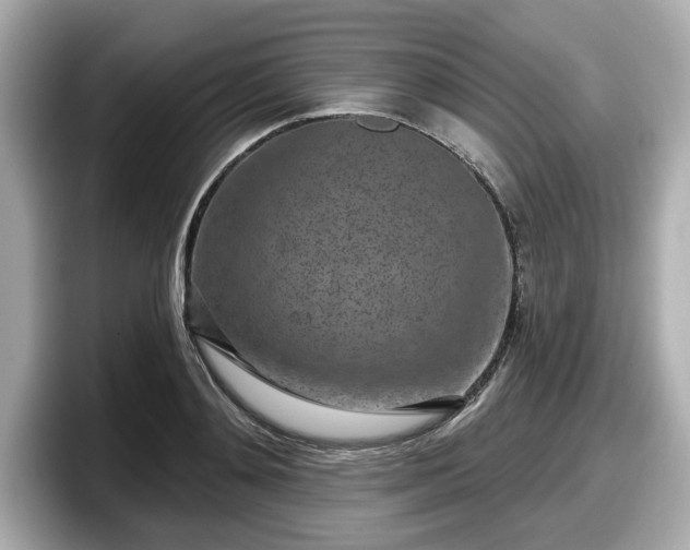 X0000098070892200804110920