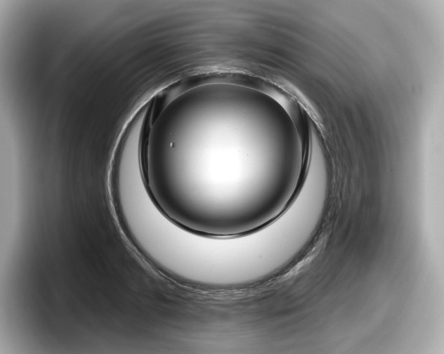 X0000098070893200804110920