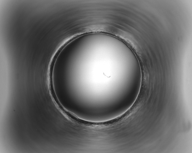 X0000098070894200804110920