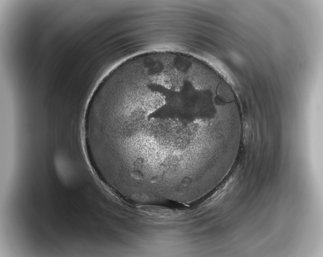 X0000098070895200804110920