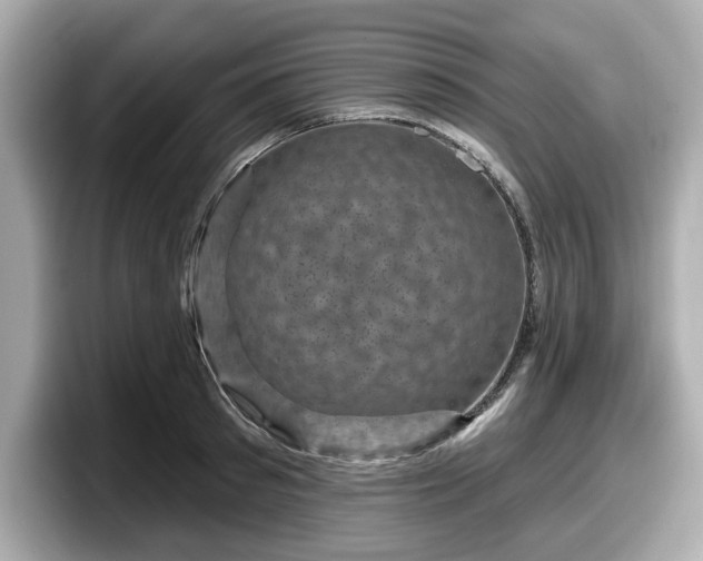 X0000098070897200804110920