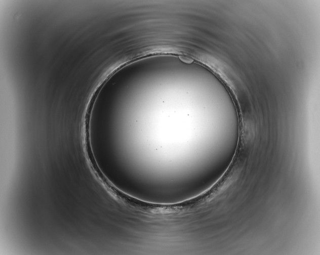 X0000098070898200804110920