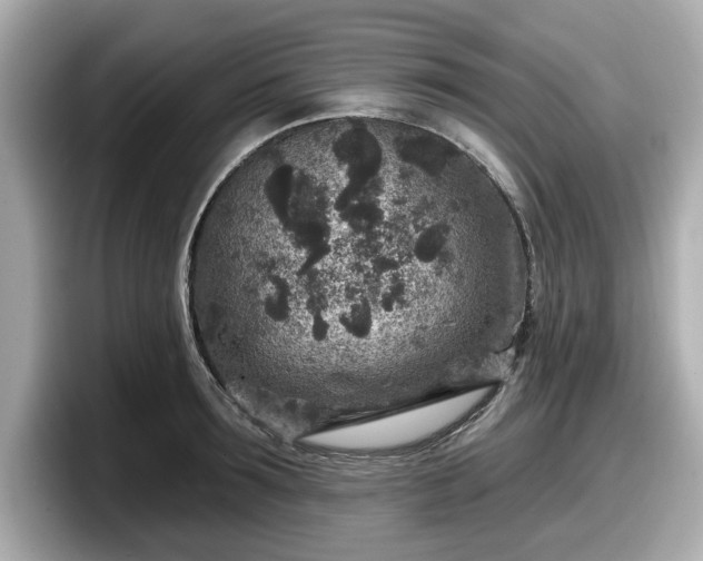 X0000098070899200804110920