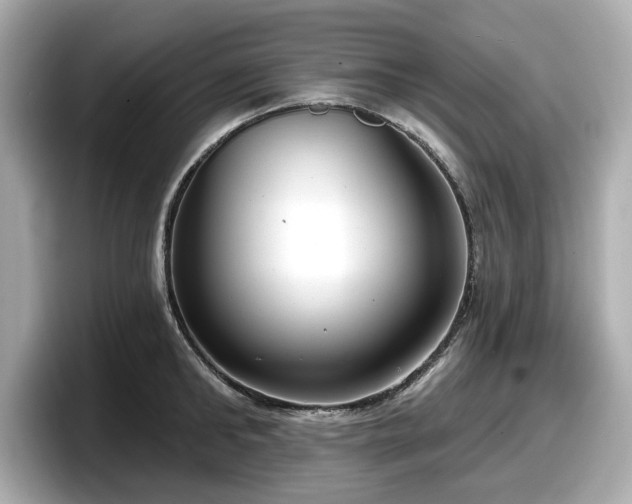 X0000098070902200804110920