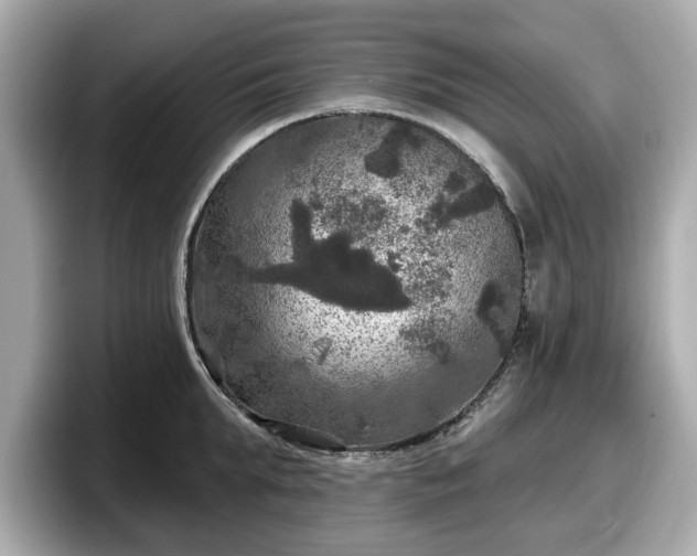 X0000098070903200804110920