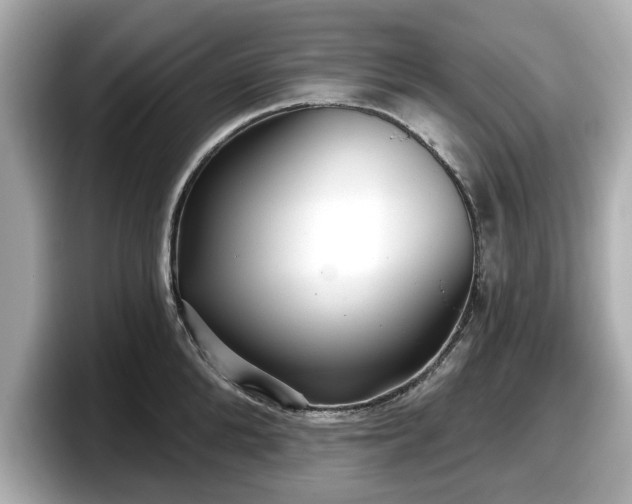 X0000098070904200804110920