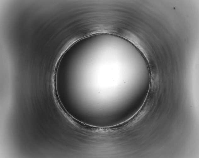 X0000098070906200804110920