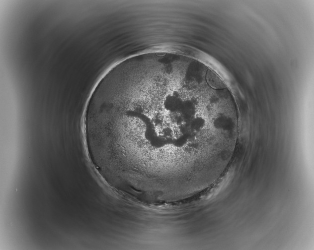 X0000098070907200804110920