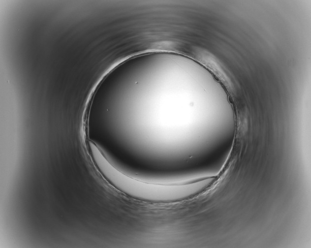 X0000098070908200804110920