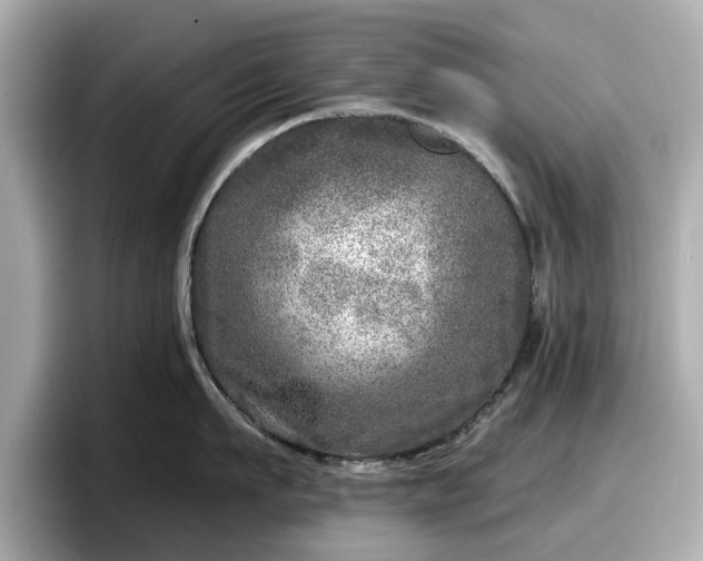 X0000098070911200804110920