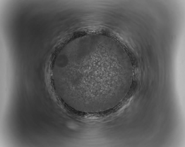 X0000098070913200804110919