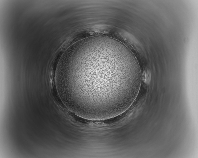 X0000098070915200804110919