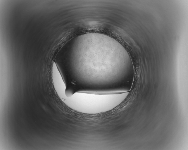 X0000098070916200804110919