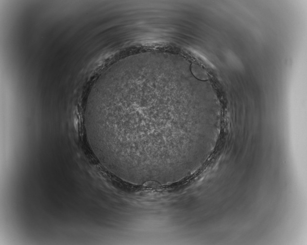 X0000098070917200804110919