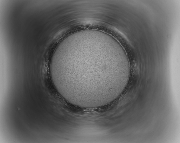 X0000098070918200804110919