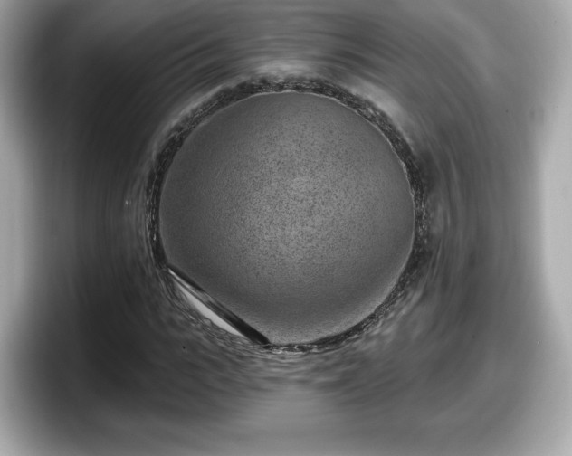 X0000098070919200804110919