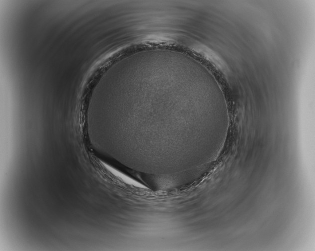 X0000098070920200804110919