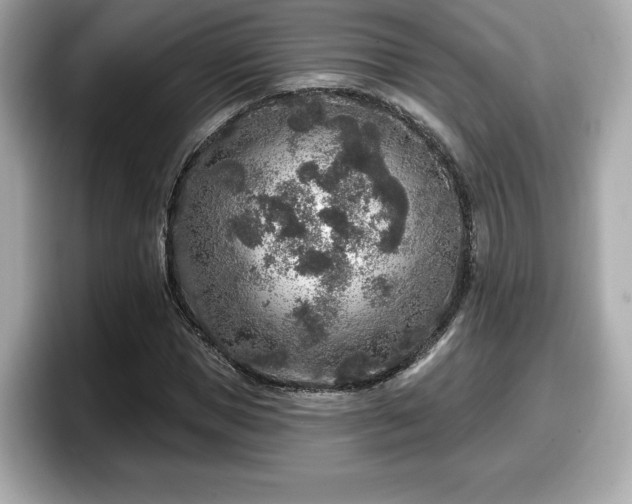 X0000098070921200804110919