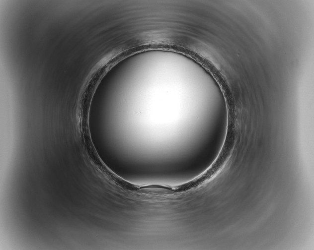 X0000098070922200804110919