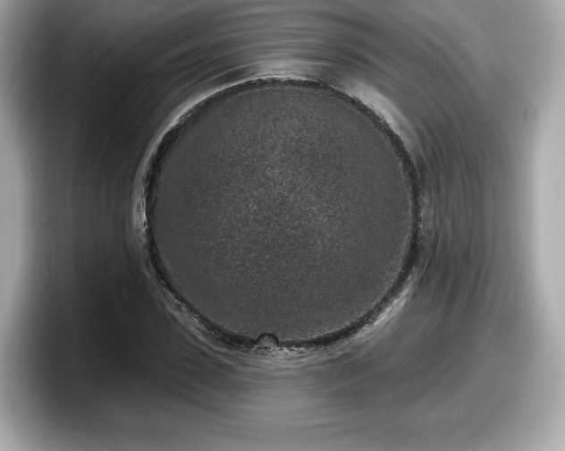 X0000098070923200804110919