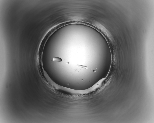 X0000098070924200804110919