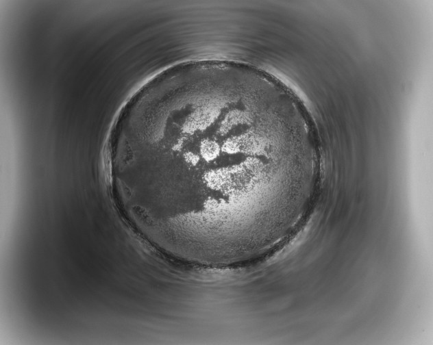 X0000098070925200804110919