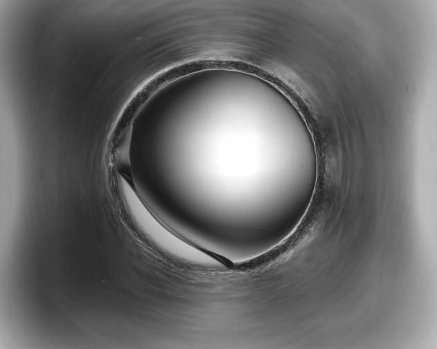 X0000098070926200804110919