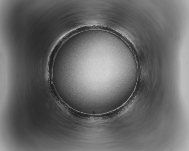 X0000098070927200804110919