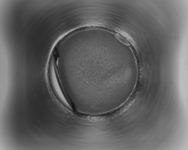 X0000098070928200804110919