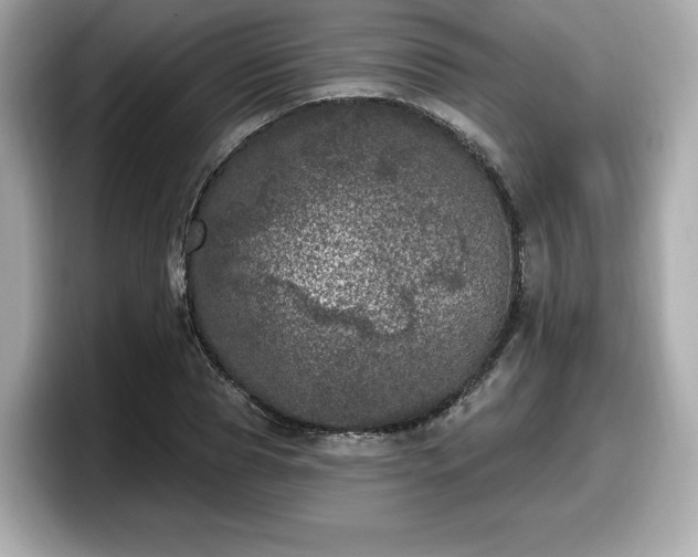 X0000098070929200804110919