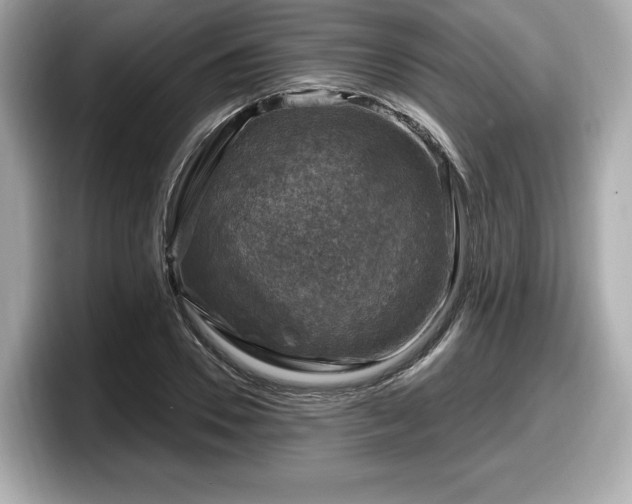 X0000098070930200804110919