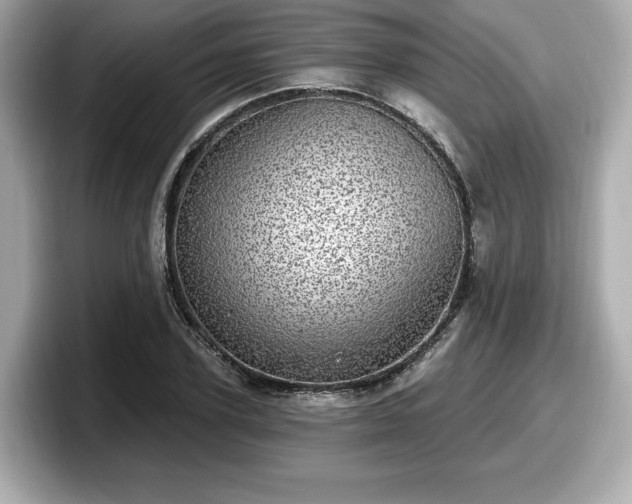 X0000098070931200804110919