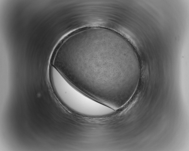 X0000098070932200804110919