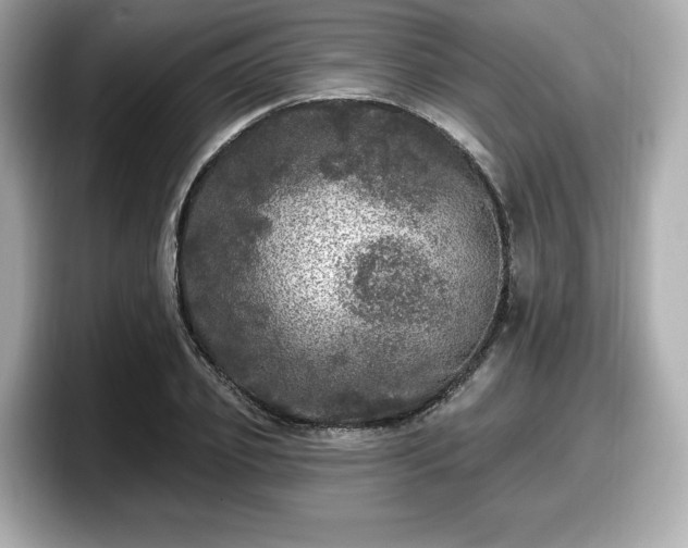 X0000098070933200804110919