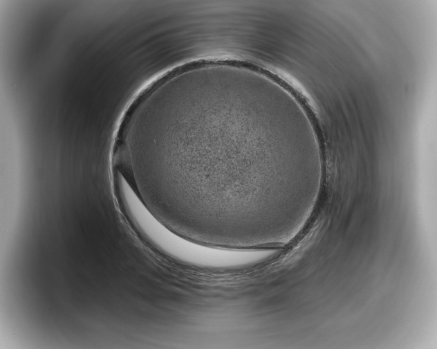 X0000098070935200804110919