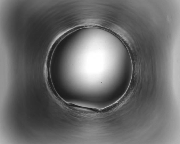 X0000098070936200804110919