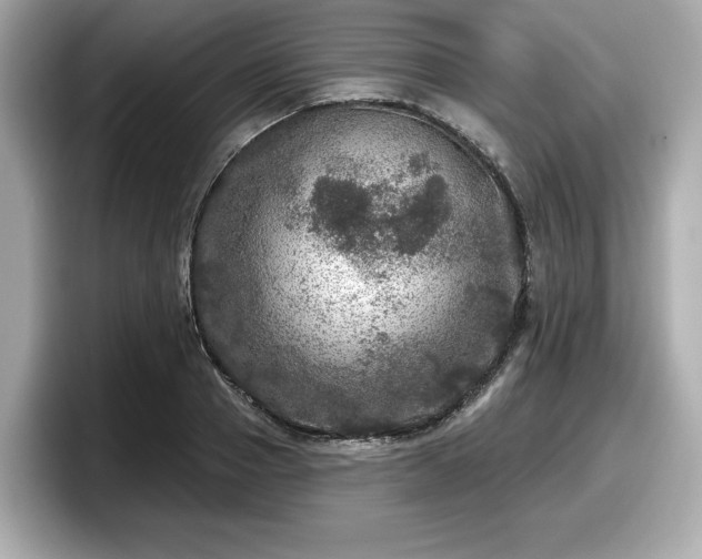 X0000098070937200804110919