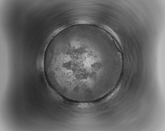 X0000098070938200804110919