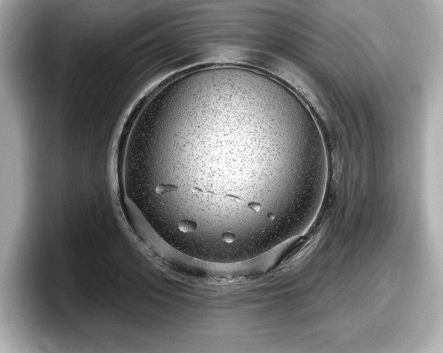 X0000098070939200804110919