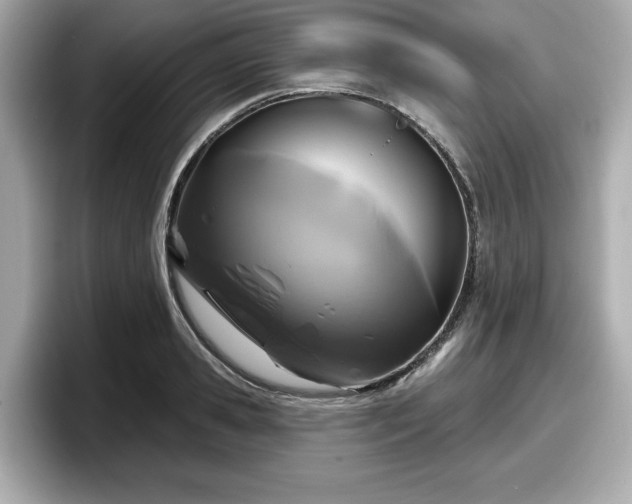 X0000098070941200804110919