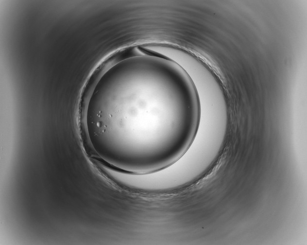 X0000098070942200804110920