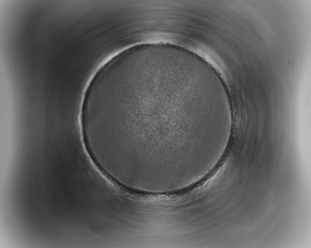 X0000098070943200804110920