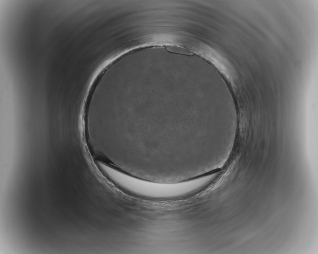 X0000098070944200804110920