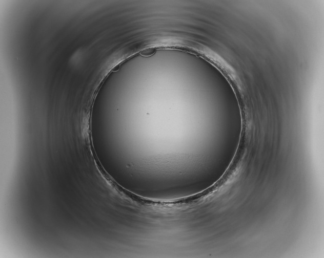 X0000098070945200804110920