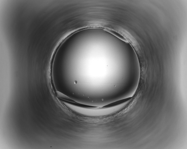 X0000098070948200804110920