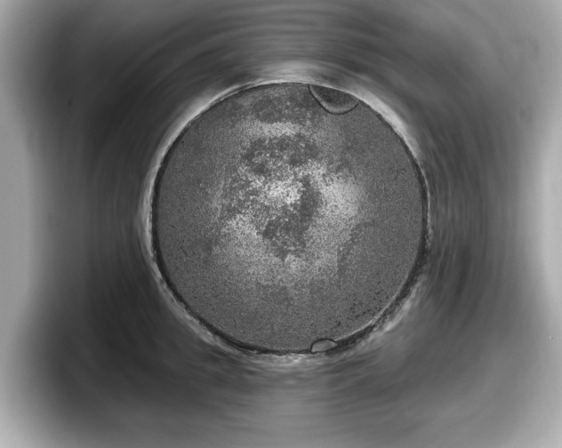 X0000098070949200804110920