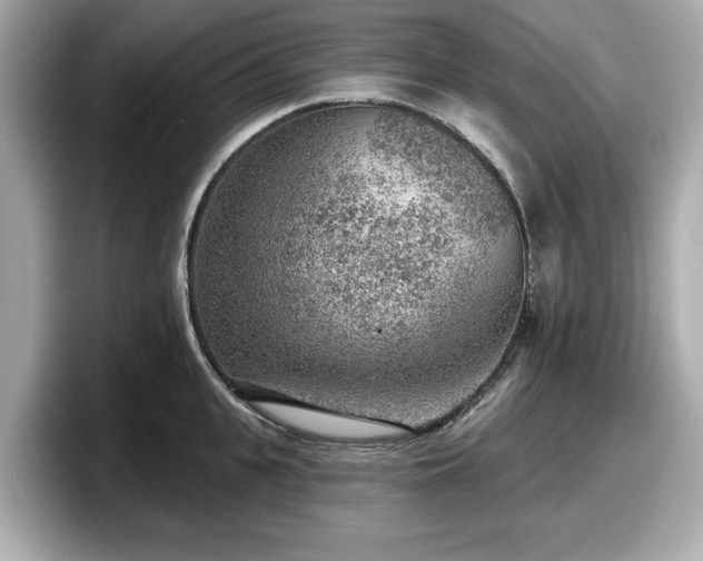 X0000098070951200804110920