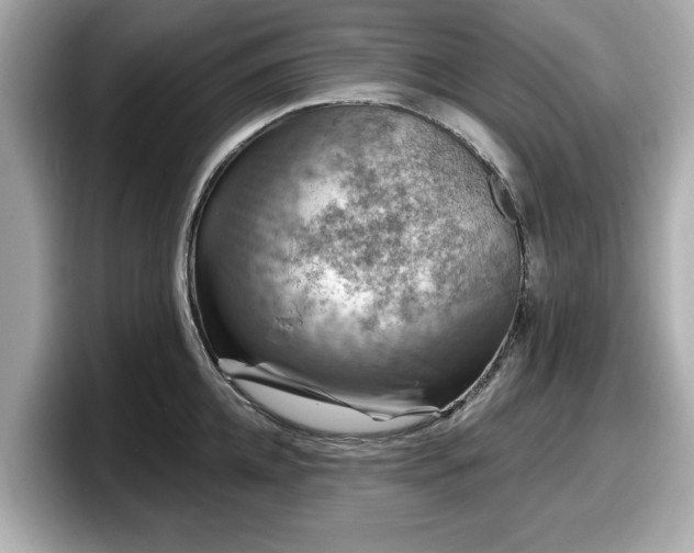 X0000098070952200804110920