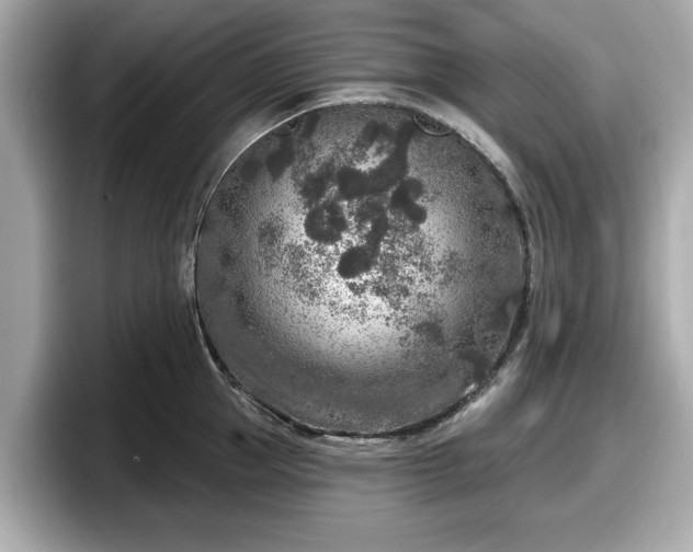 X0000098070953200804110920