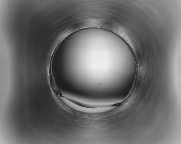 X0000098070954200804110920